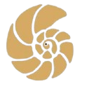 nautilus-simbol-natural
